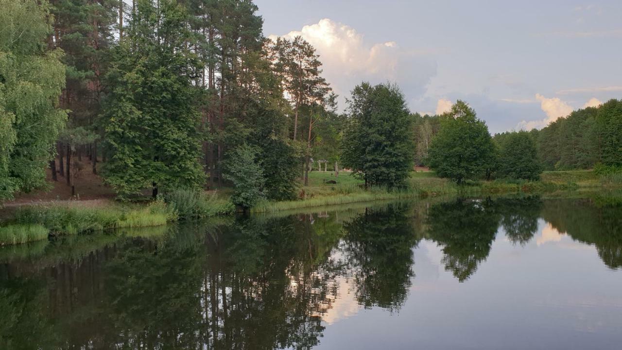 Garden Studio By The Lake With Air-Con And Infrasauna Druskininkai Exterior foto